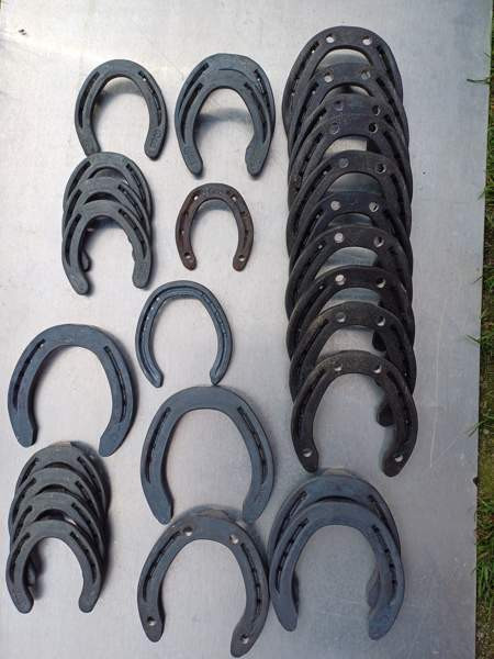 Hevosenkenkiä Sauvo - photo 1