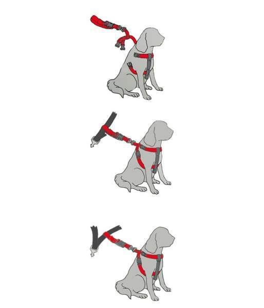 HI-Craft koiran turvavyö valjaat koko S Vaasa – foto 3