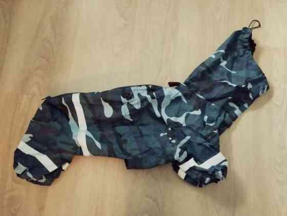 Mäyräkoiran haalari Tornio