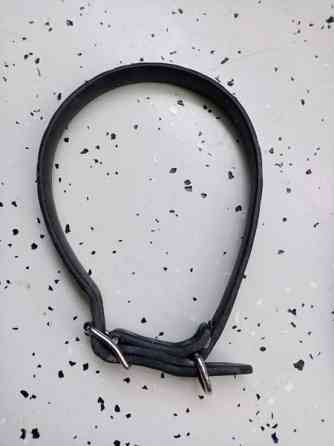 Koirien kaula ja talutus remmejä Эспоо