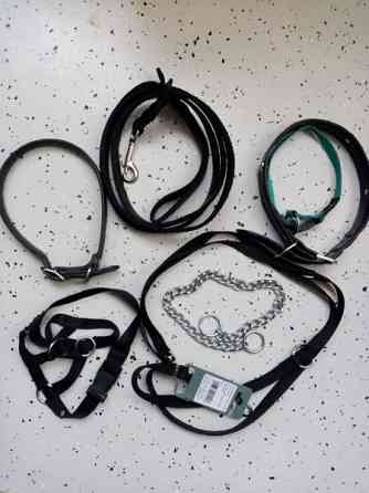 Koirien kaula ja talutus remmejä Эспоо