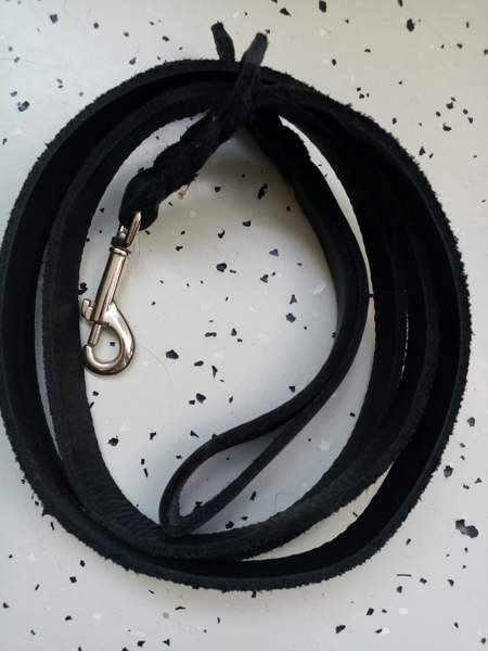 Koirien kaula ja talutus remmejä Espoo – foto 8