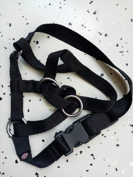 Koirien kaula ja talutus remmejä Espoo – foto 7