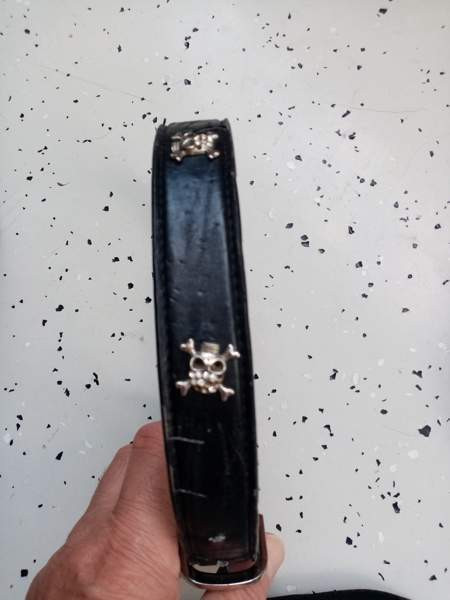 Koirien kaula ja talutus remmejä Espoo – foto 4