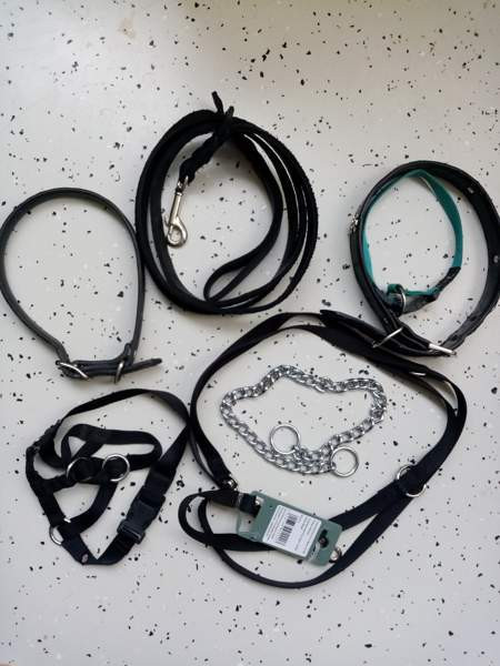 Koirien kaula ja talutus remmejä Espoo – foto 1