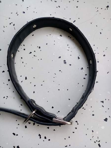 Koirien kaula ja talutus remmejä Espoo – foto 3