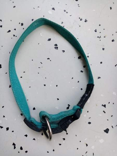 Koirien kaula ja talutus remmejä Espoo – foto 6