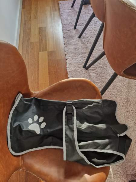 Koirantakki 45cm Tampere – foto 1