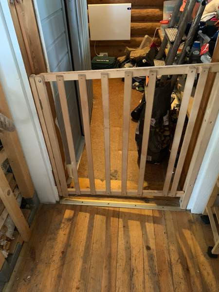 Koiran portti Helsinki - valokuva 1