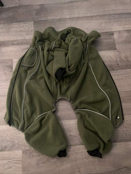 Koiran talvihaalari Tampere – foto 1