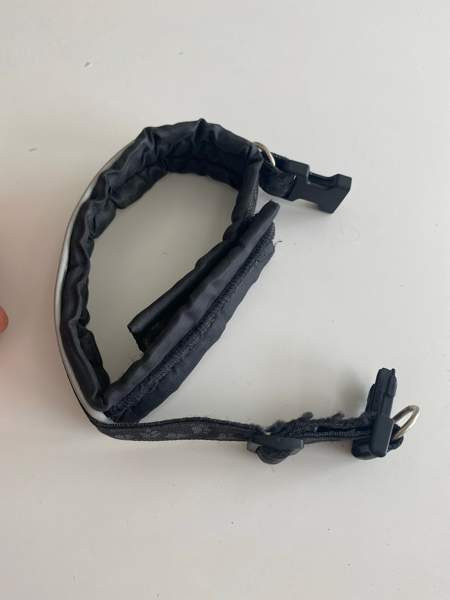 Koiranpanta Vaasa – foto 2