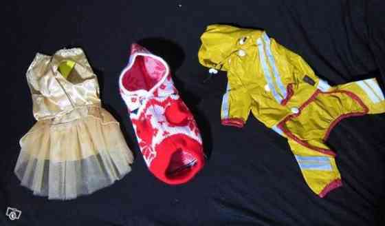 Pienen koiran vaatteita:Juhlamekko ja sadeasu Вантаа