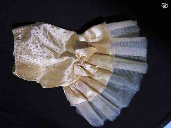 Pienen koiran vaatteita:Juhlamekko ja sadeasu Вантаа