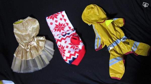 Pienen koiran vaatteita:Juhlamekko ja sadeasu Vantaa - valokuva 1