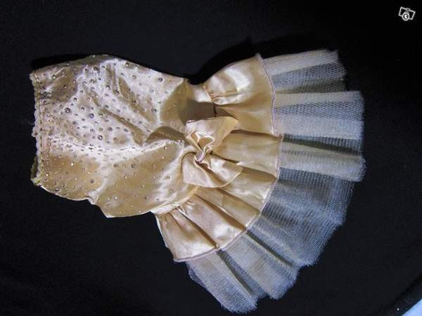 Pienen koiran vaatteita:Juhlamekko ja sadeasu Vantaa - valokuva 3