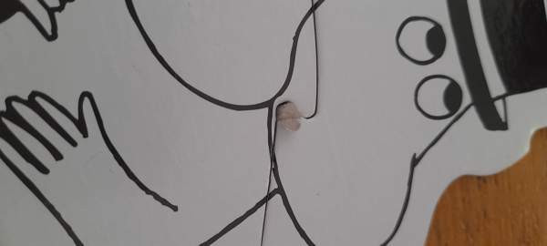 Moomin my first puzzles Haemeenlinna - photo 3