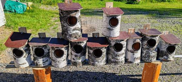 Telkän ( Sotkan) pönttöjä Sonkajärvi - valokuva 1