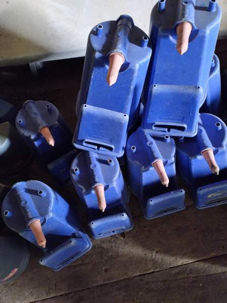 Vasikanjuotto Iisalmi - valokuva 2