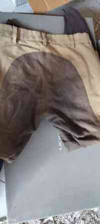 Pikeur Lucinda kontrasti 72 Virolahti