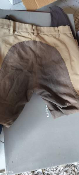 Pikeur Lucinda kontrasti 72 Virolahti - изображение 3