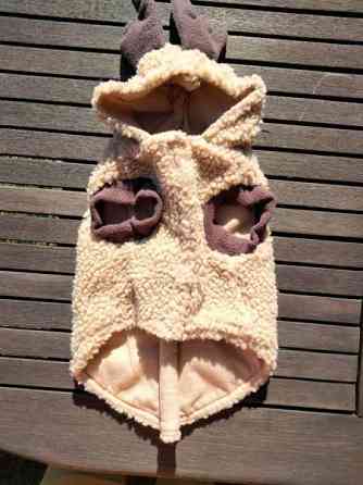 Koiran puvut Kajaani