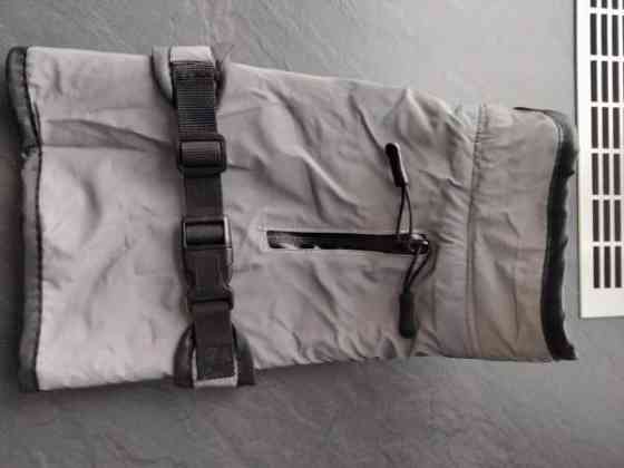 Koiran puvut Kajaani