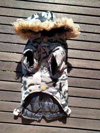 Koiran puvut Kajaani