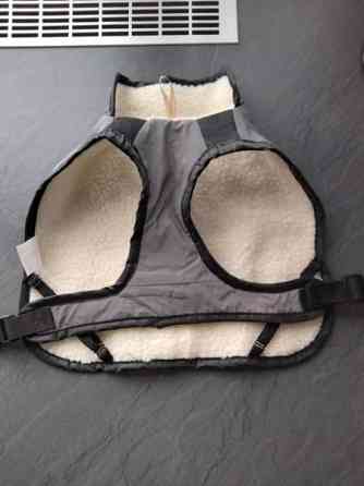 Koiran puvut Kajaani