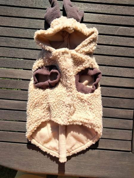 Koiran puvut Каяни - изображение 5