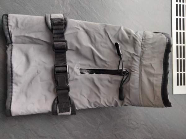 Koiran puvut Каяни - изображение 1