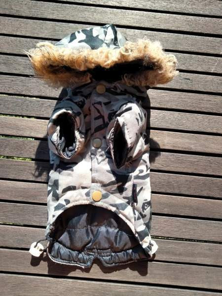 Koiran puvut Каяни - изображение 4