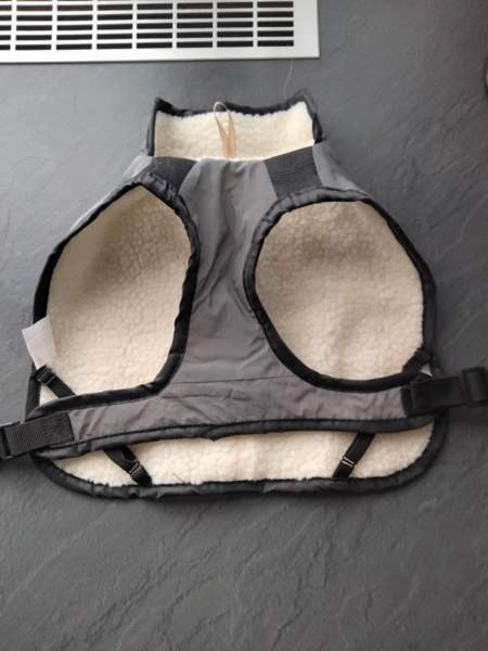 Koiran puvut Каяни - изображение 2