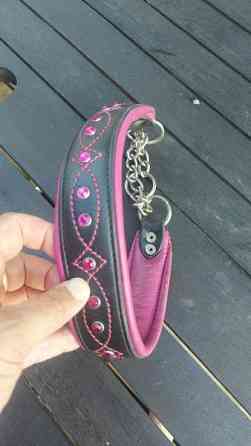 Koiran panta Kajaani