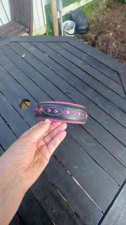 Koiran panta Kajaani