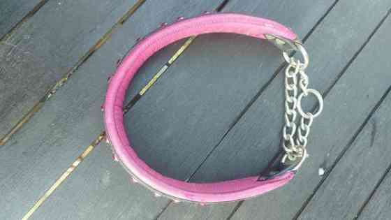 Koiran panta Kajaani