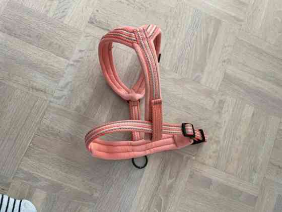 Y-valjaat koiralle (M) Jyvaeskylae