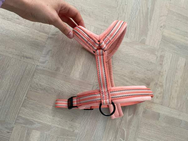 Y-valjaat koiralle (M) Jyvaeskylae - photo 1