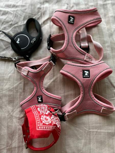 Kissan/koiran/muunlajisen uudet valjaat ja panta Helsinki – foto 1
