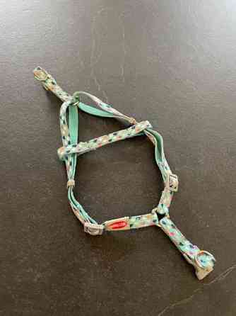 Kissan valjaat koko S Ii