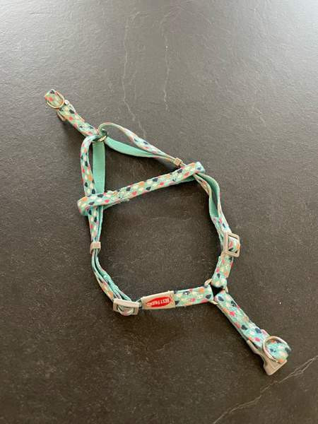 Kissan valjaat koko S Ii - valokuva 1