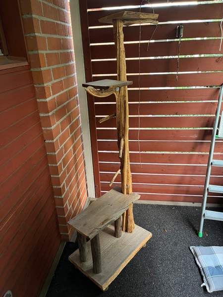 Kissan kiipeilypuu Коувола - изображение 2