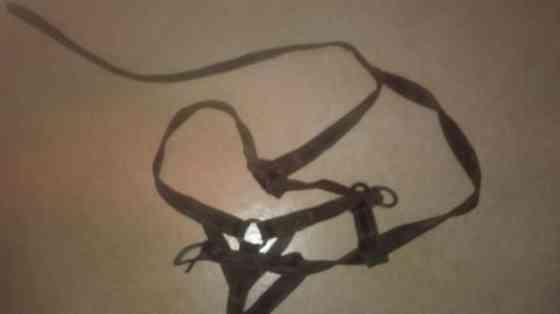 Hevosen kenkiä Jämsä