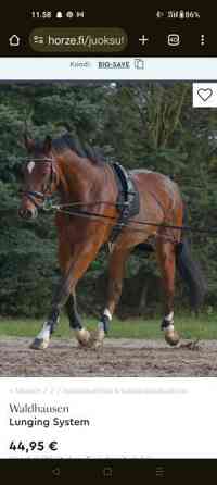 Waldhausen Lunging System Laitila
