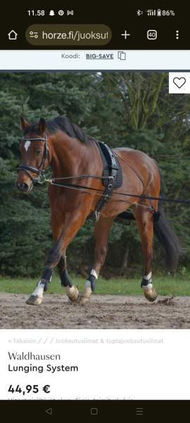 Waldhausen Lunging System Laitila - photo 1