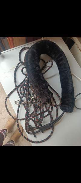 Waldhausen Lunging System Laitila - photo 2