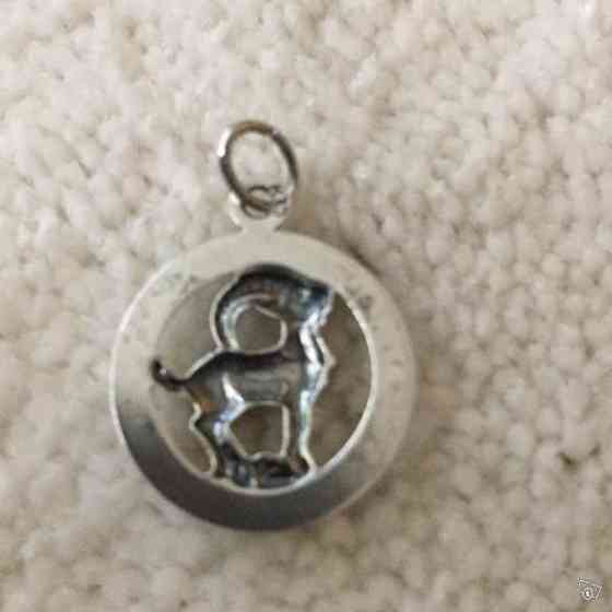 Hopeinen horoskooppiriipus Keuruu