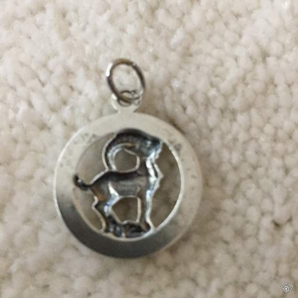 Hopeinen horoskooppiriipus Keuruu - изображение 2