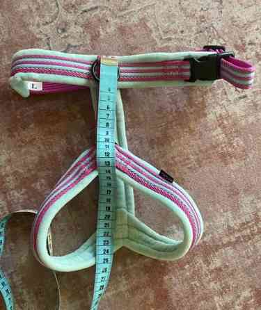 Koiran Y-valjaat Helsinki