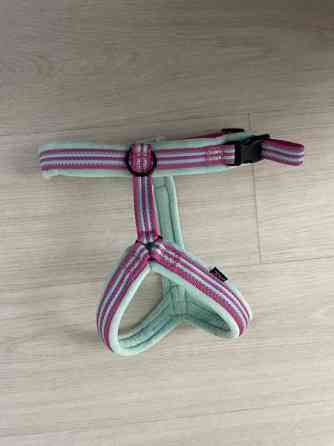 Koiran Y-valjaat Helsinki