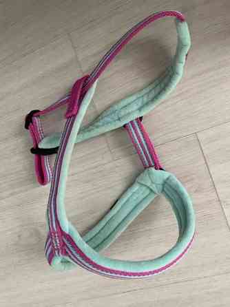 Koiran Y-valjaat Helsinki